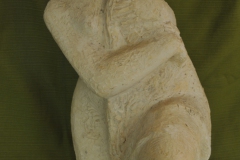 FC1016