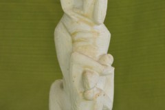 FC1030