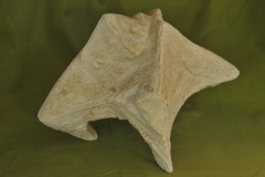 FC1033