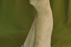FC1076
