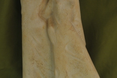 FC1079