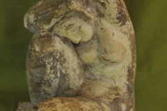 FC1081