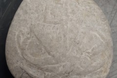 FC0099