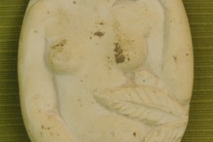 FC0251-1