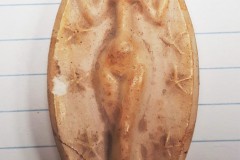 FC0253