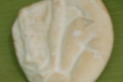 FC0313-2