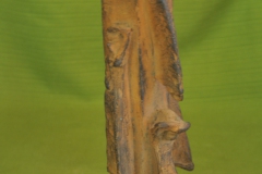 FC2114