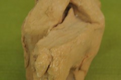 FC2124
