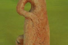 FC2135