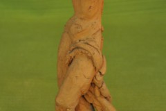 FC2136