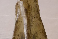 FC3029