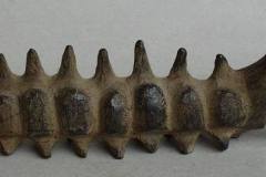 FC4051