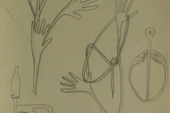onbenoemd-1859